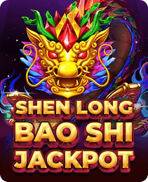 Shen Long Bao Shi game cover